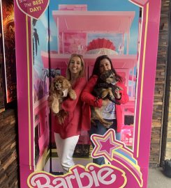 The Duke of York’s – Brighton