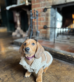 The Bear, Cobham